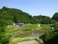 Gokase